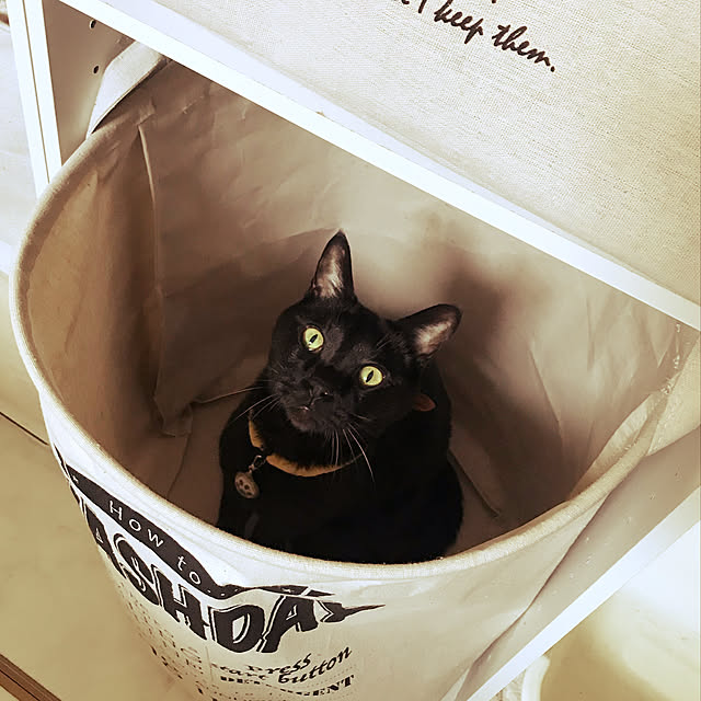 minmiさんの実例写真