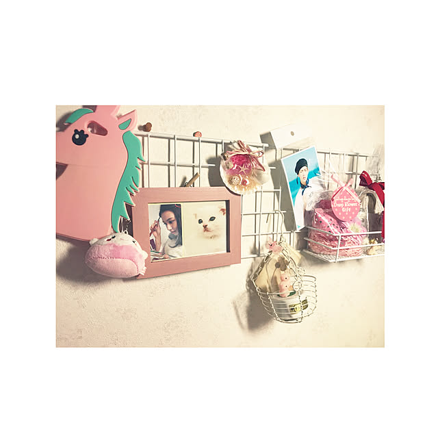 RR.catさんの実例写真