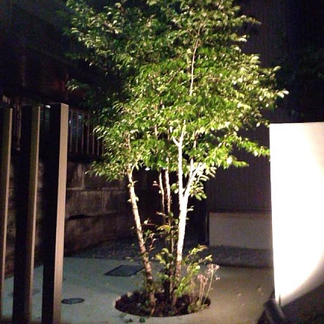 Komanechi.aさんの実例写真