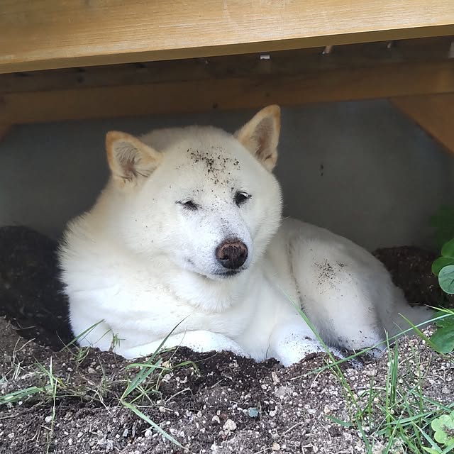yukinkoさんの部屋