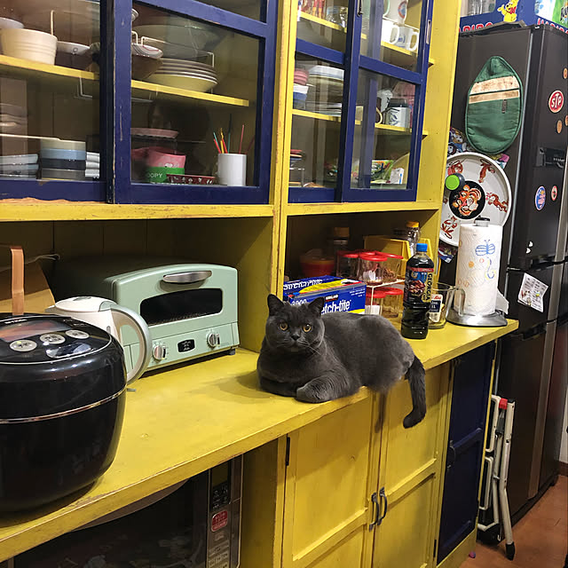 Shojiさんの実例写真