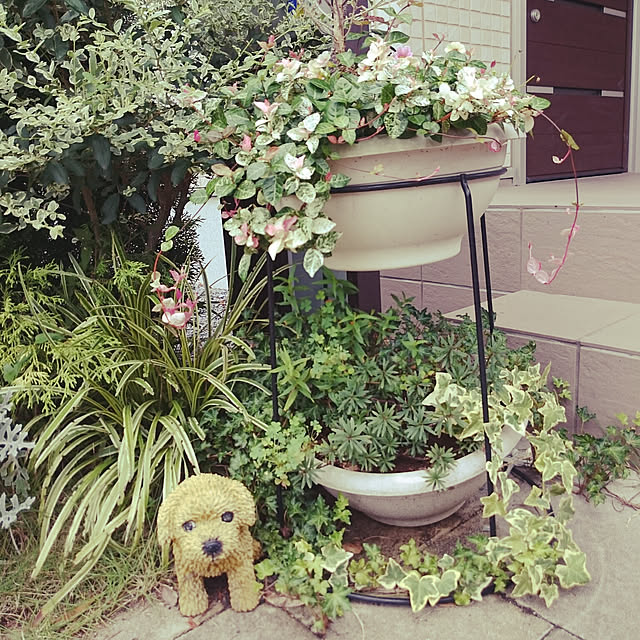 Lemonyanさんの実例写真