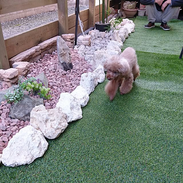 ryosukeさんの実例写真