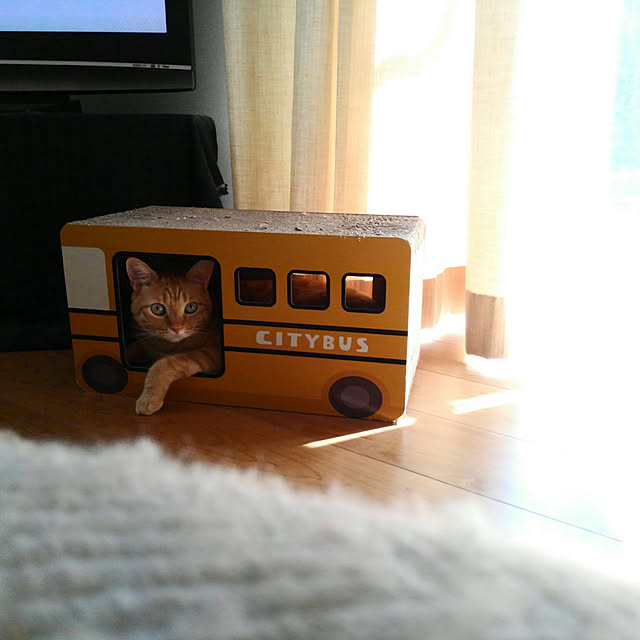 mayutan.さんの実例写真