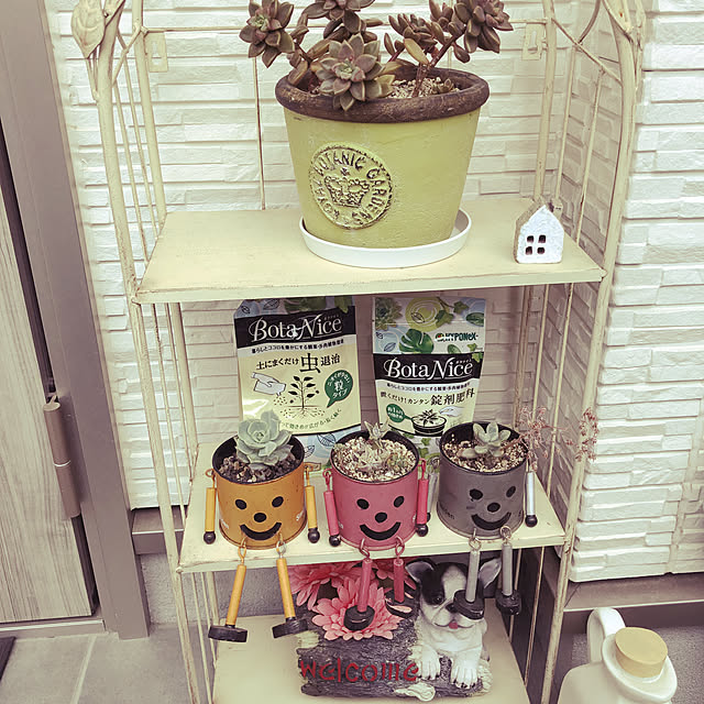 mimi.mocchiさんの実例写真