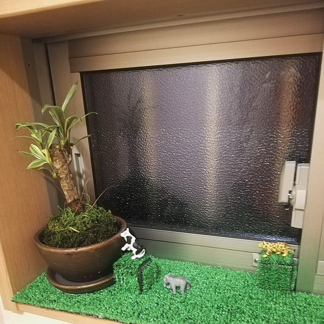 MAKOさんの実例写真