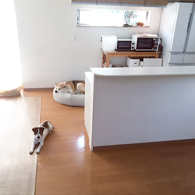 akitainu7さんの実例写真