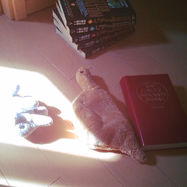 kotaさんの実例写真