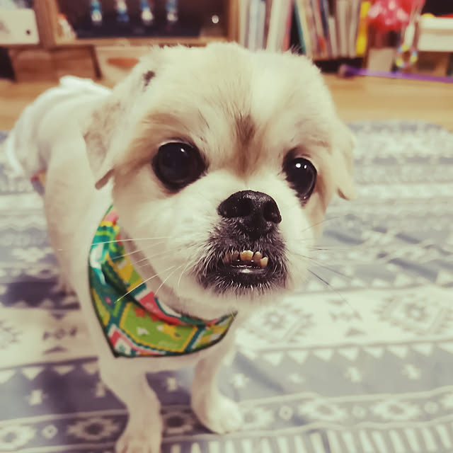 mimimiさんの実例写真