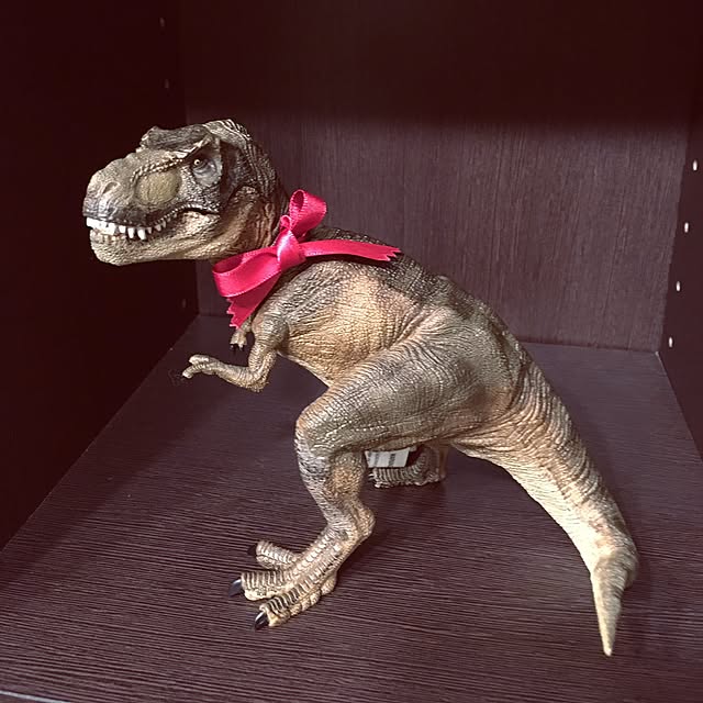 tomoさんの実例写真
