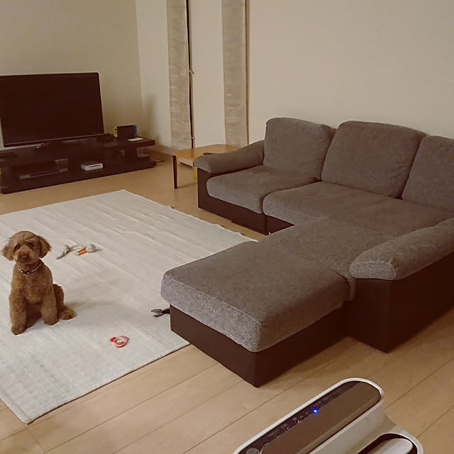 itomom1101さんの実例写真