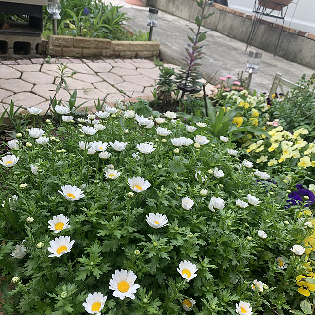 Fumiさんの実例写真