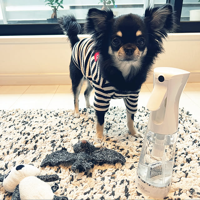 miniさんの実例写真