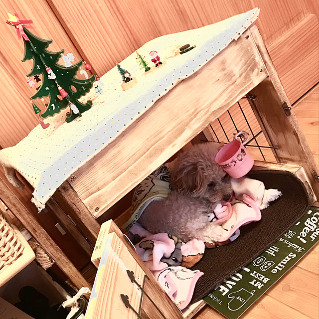 Yachuさんの実例写真