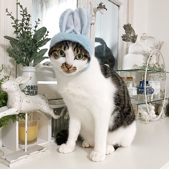 yuchiさんの実例写真