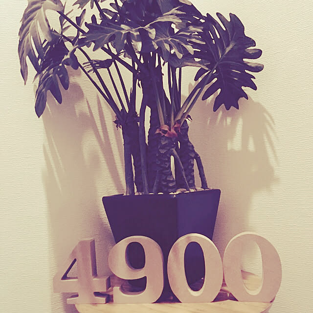 piro4900さんの実例写真