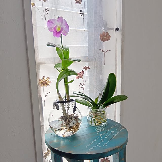 tomomiさんの部屋