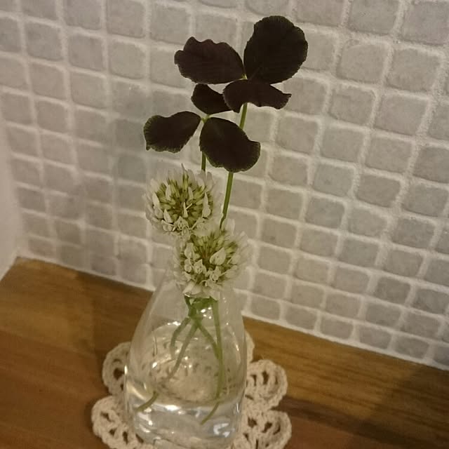 whitebirdさんの実例写真
