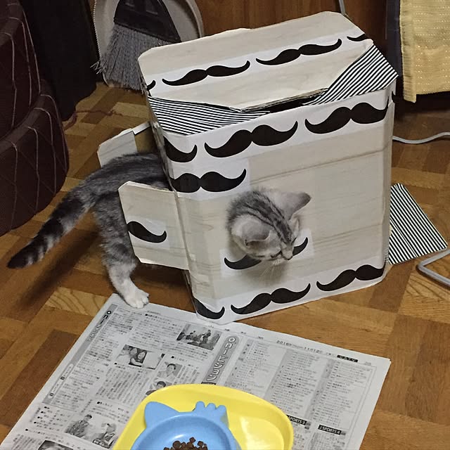 tanutanさんの実例写真