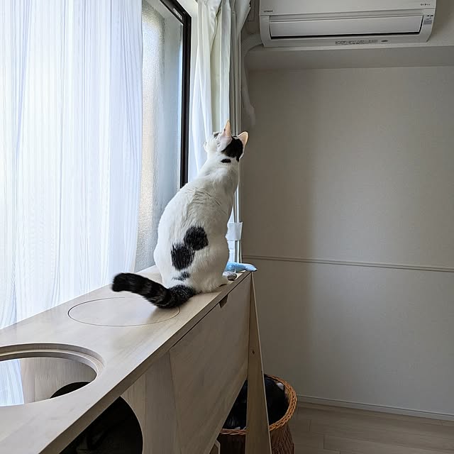 kumiさんの部屋
