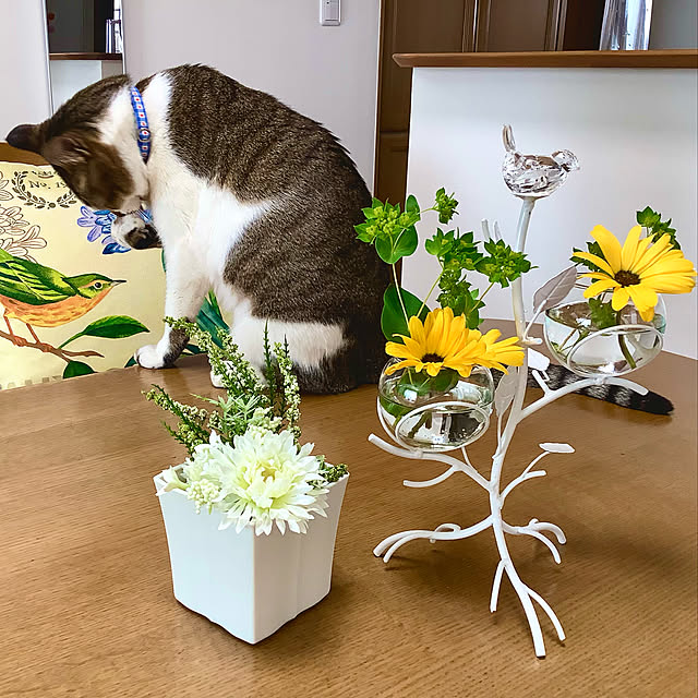haruminさんの実例写真