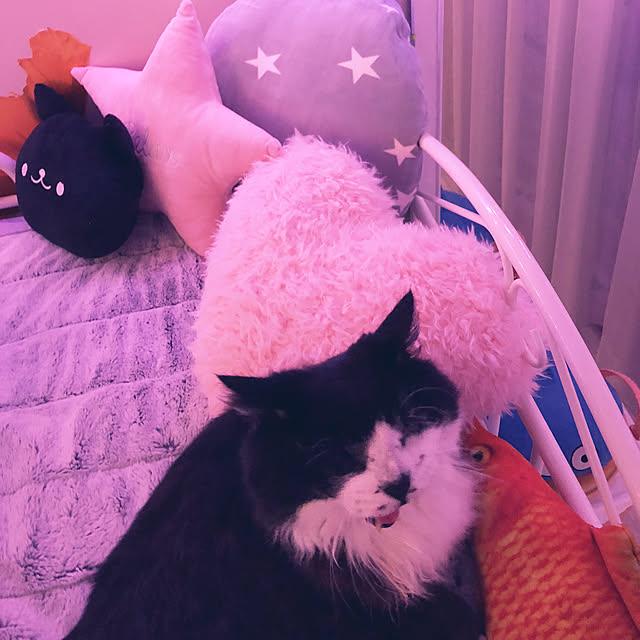kanaさんの実例写真
