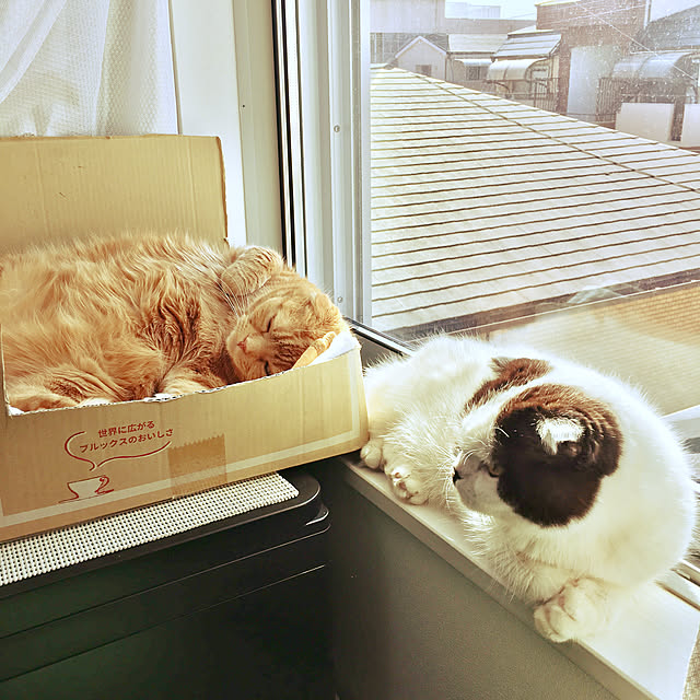 pinaminさんの実例写真