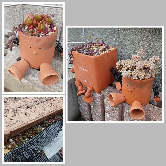 soyokoさんの実例写真