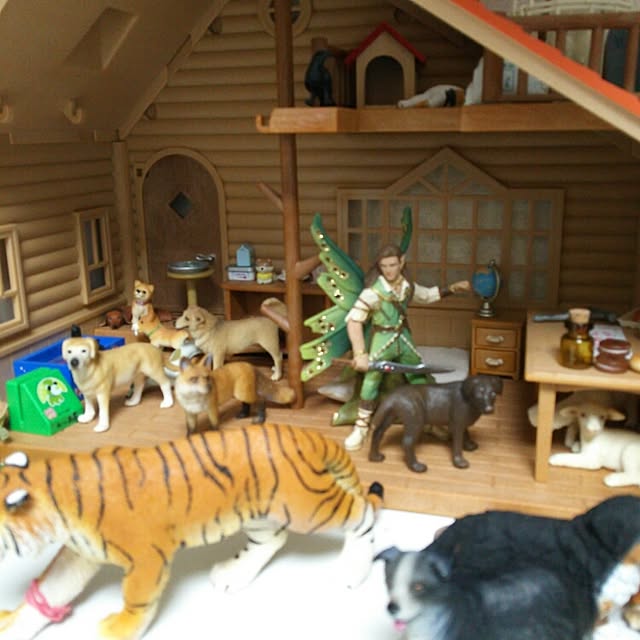 実例写真