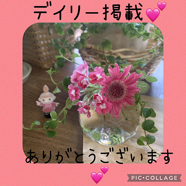 JUNさんの実例写真