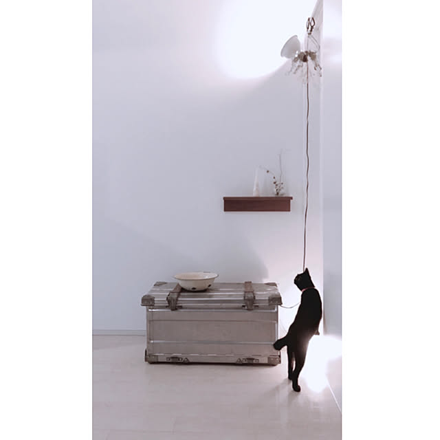 uさんの実例写真