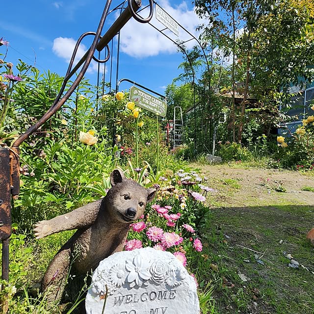 GreenHomeさんの部屋