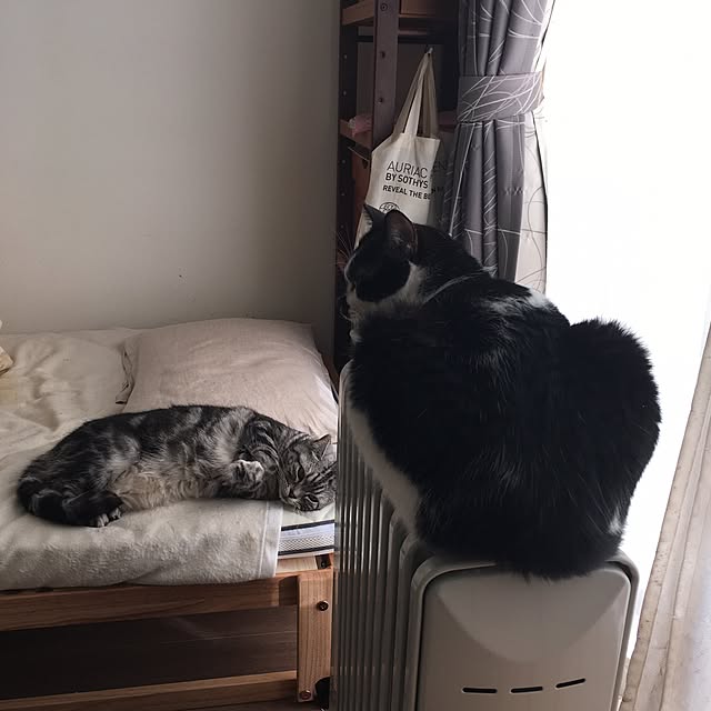 mikomaruさんの実例写真