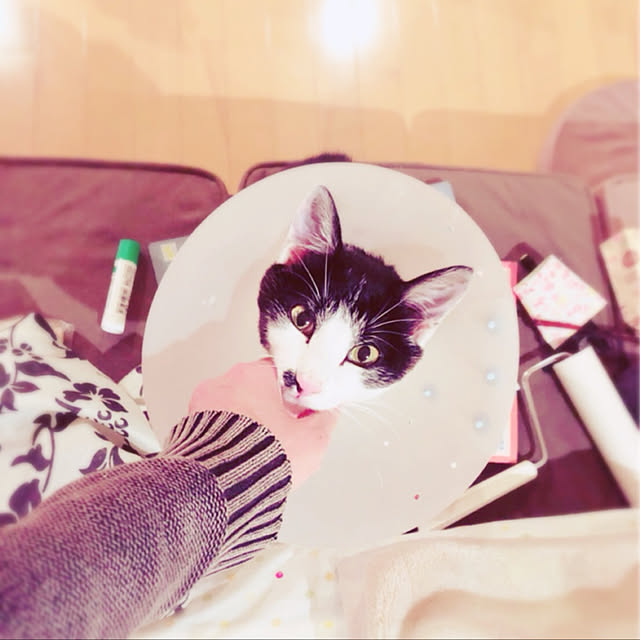 bibiさんの実例写真