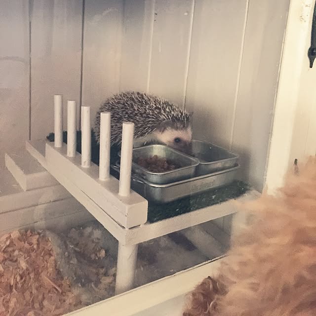 RURULOVEさんの実例写真