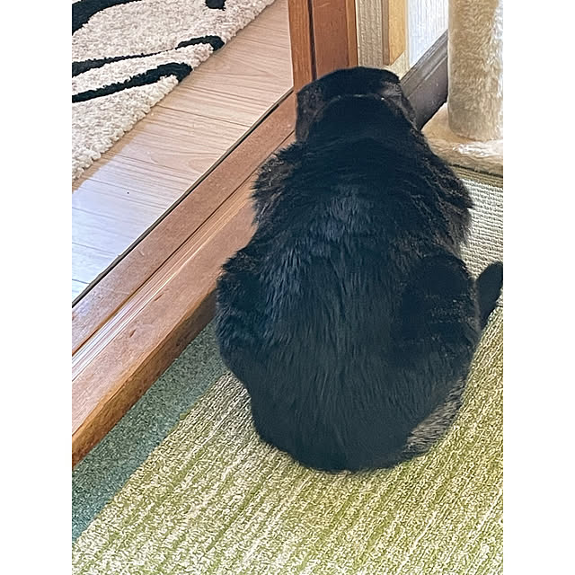 momocchiさんの部屋
