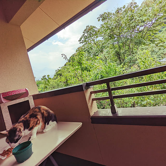 uchizukonyanさんの実例写真