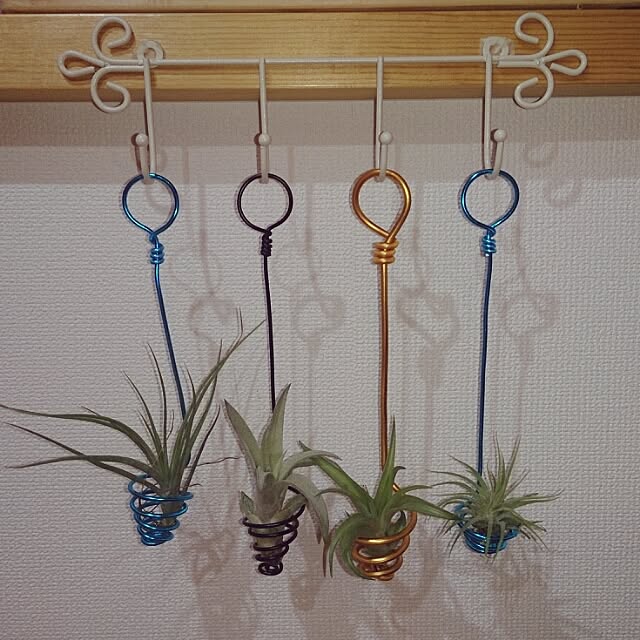 shinshiromurasanさんの実例写真