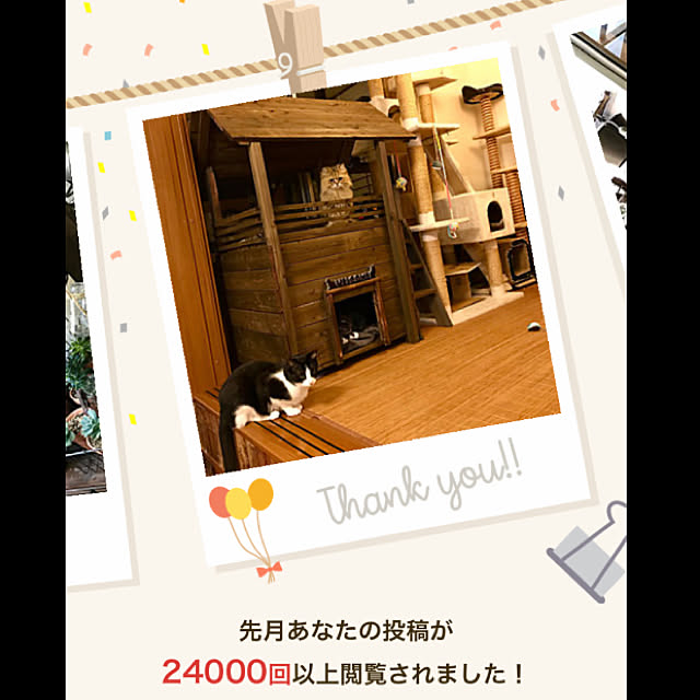 butachanさんの実例写真