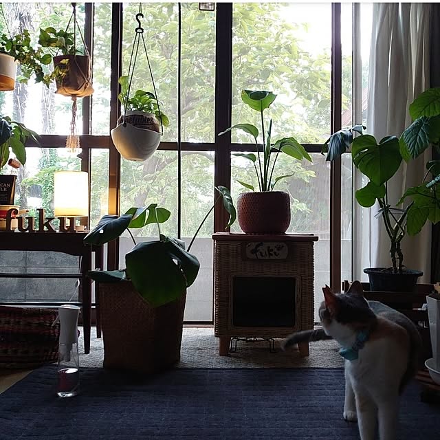 fukuさんの部屋