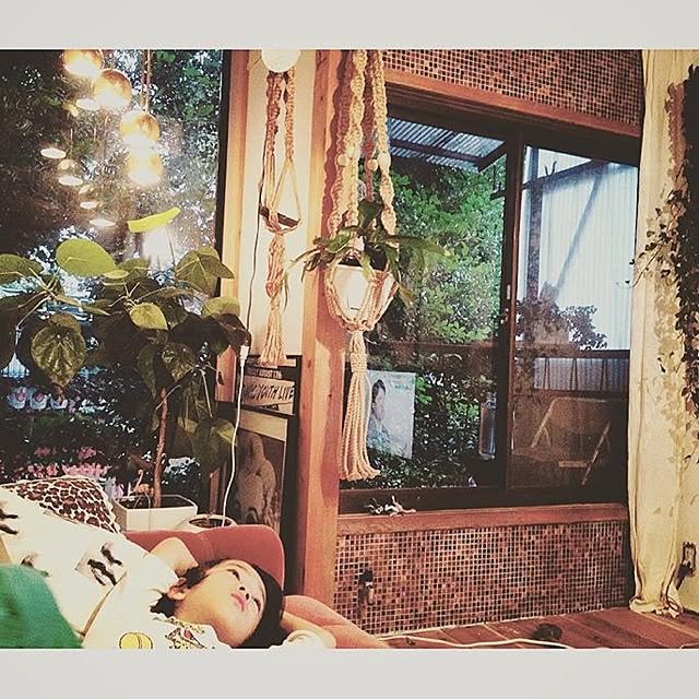 壁/天井/DIY/観葉植物/照明のインテリア実例 - 2017-06-17 20:58:30