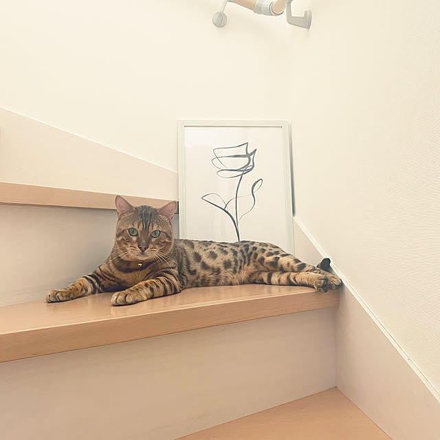 simplelife.aさんの実例写真