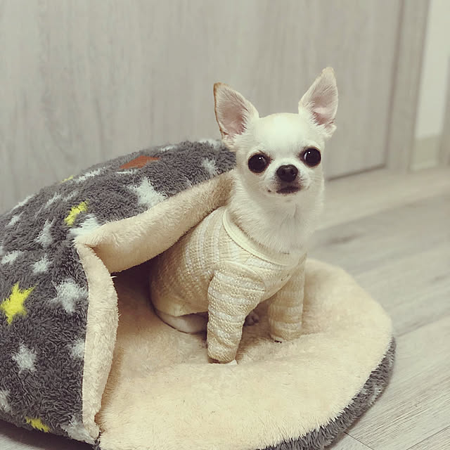 colonさんの実例写真