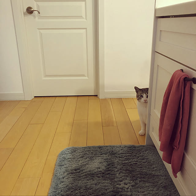 kuuchanさんの実例写真
