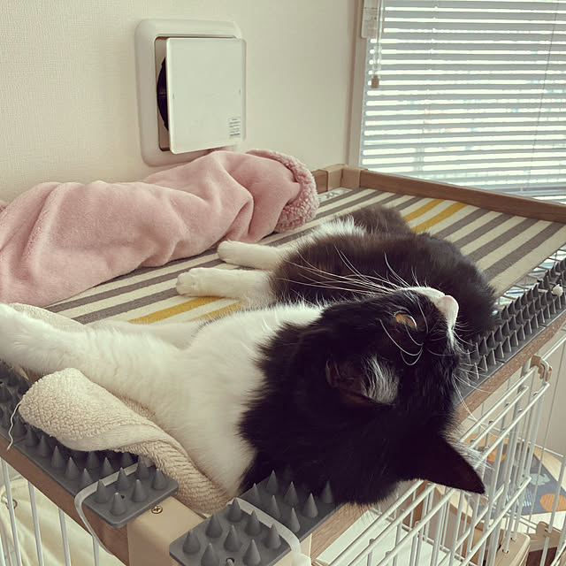 yonejiさんの実例写真