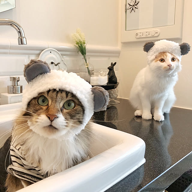 yuchiさんの実例写真