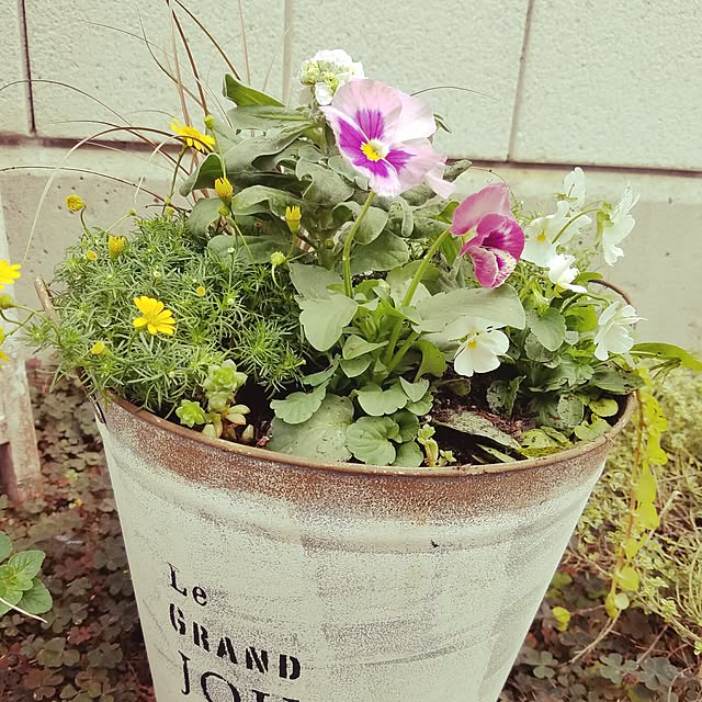 junkoさんの実例写真
