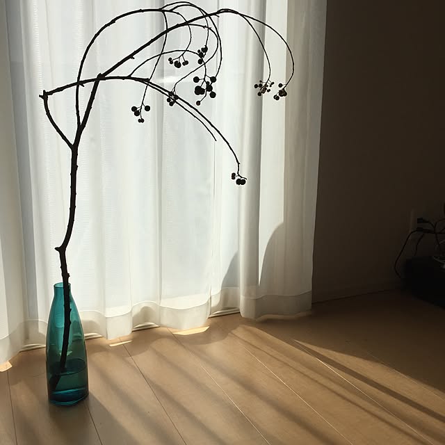 rico123ktymさんの実例写真