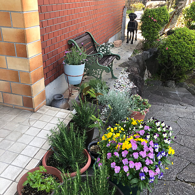 banbanさんの実例写真