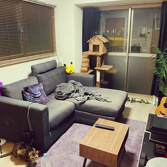 shouhai53さんの実例写真